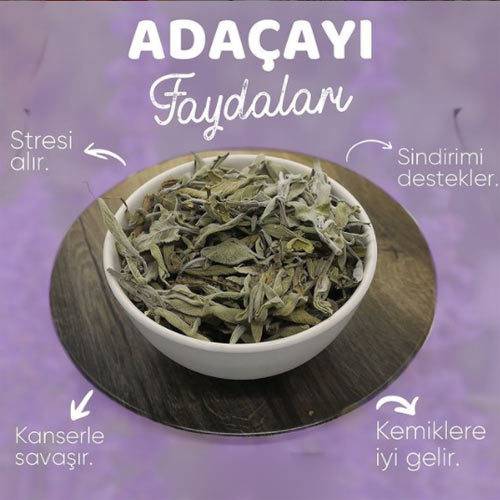 Adaçayı nedir? adaçayı tarifi ve adaçayının faydaları 3