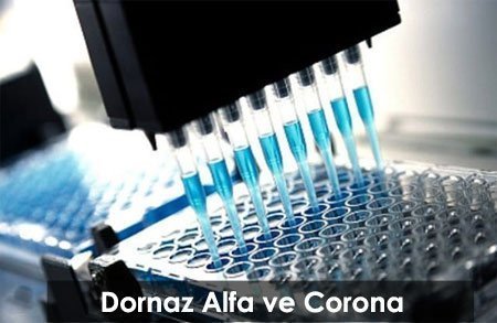 Dornaz Alfa corona