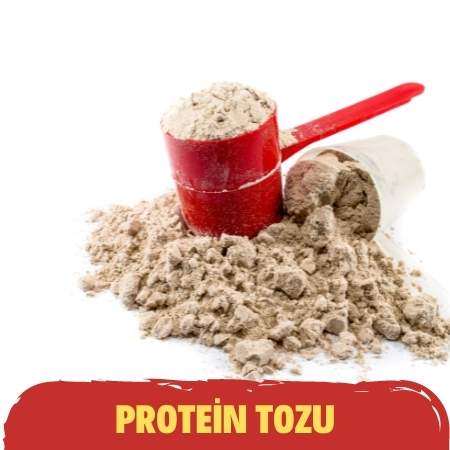 Protein Tozu