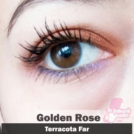 Golden Rose Terracota Uzak 2