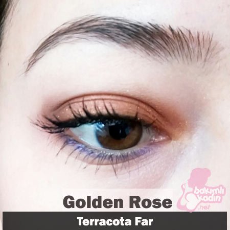 Golden Rose Terracota Uzak 3