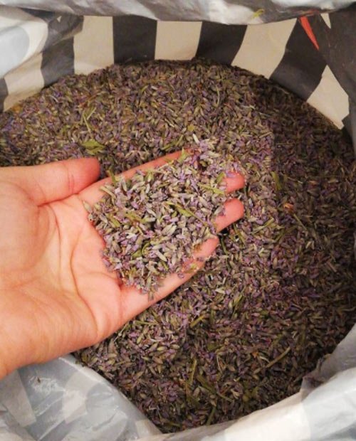 Lavanta Çayı ve Lavanta Çayı Tarifi 2'nin Faydaları